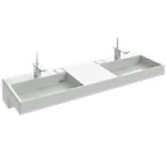 Double vasque